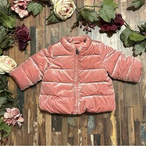 BABY GAP NWT Velvet Puffer Coat *Soft Potpourri 6-12M